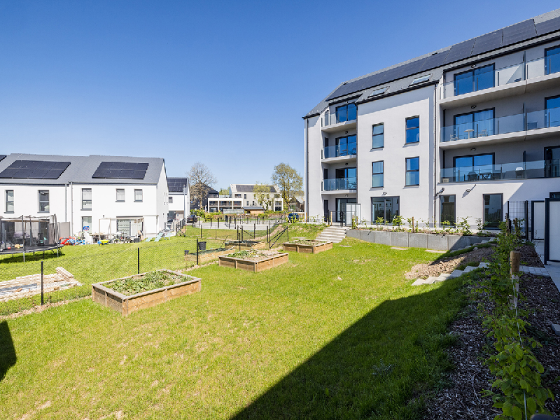Appartements à vendre à Habay-la-Neuve